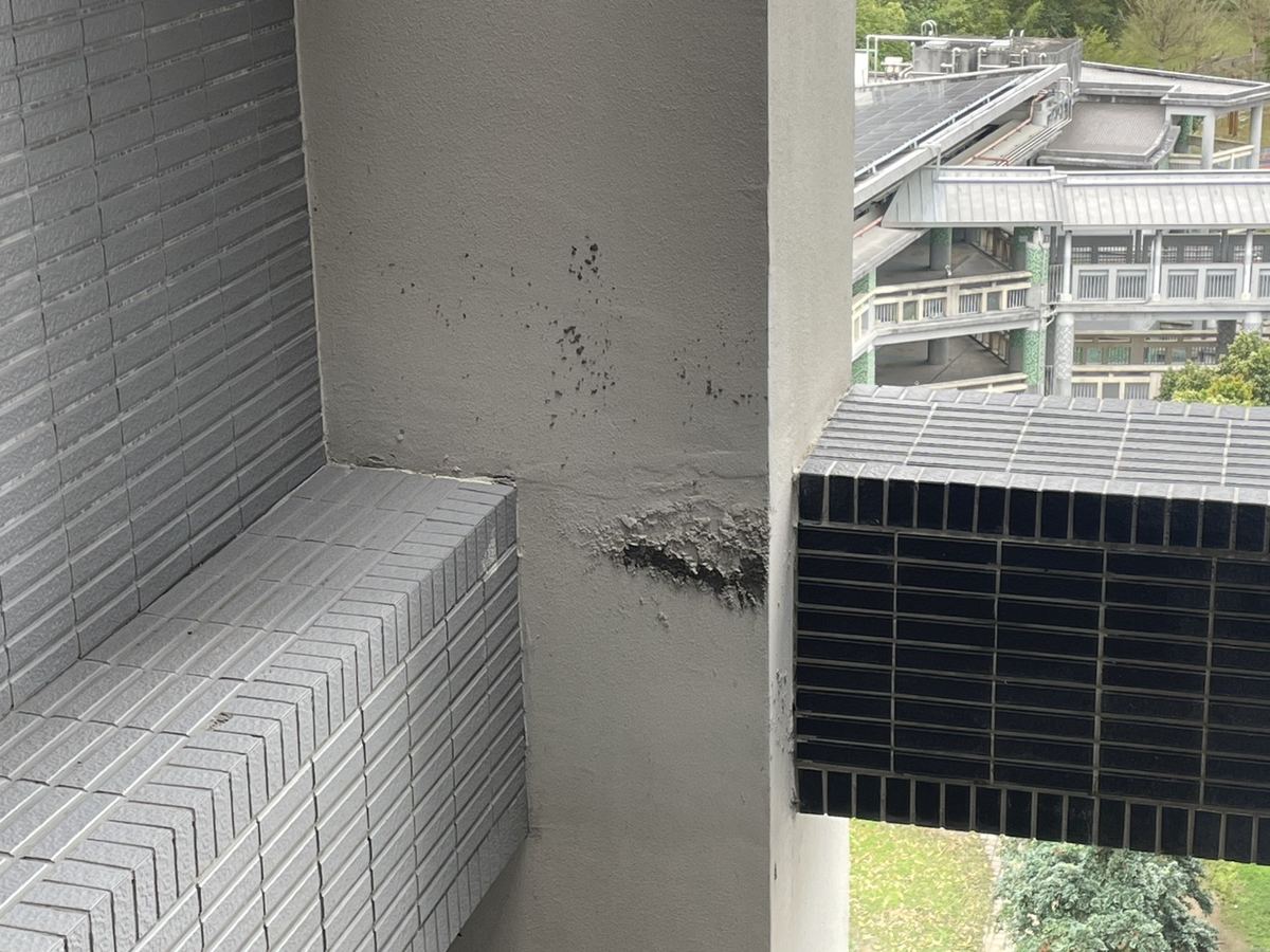 外牆轉角清洗前的髒污與發霉狀況